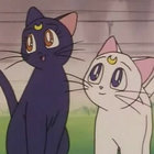 ninjijo thumbnail