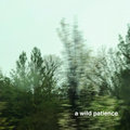 a wild patience image