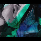 Camila Nebbia thumbnail