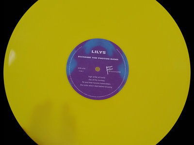 Merch | Lilys
