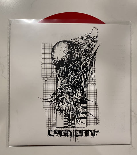 Cryptic Void / Cognizant | Cryptic Void / Cognizant | RFL RECORDS