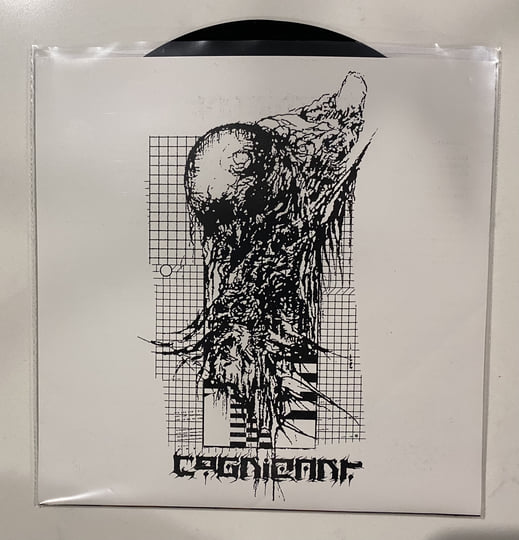 Cryptic Void / Cognizant | Cryptic Void / Cognizant | RFL RECORDS