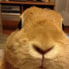 hyagi thumbnail