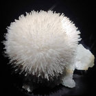 Heranium thumbnail