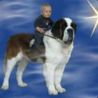 lradikal thumbnail