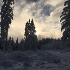 count_count thumbnail