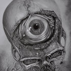 wurzel_1 thumbnail
