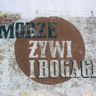 wogielski thumbnail