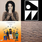 La Débutante | Sonoko | Crammed Discs