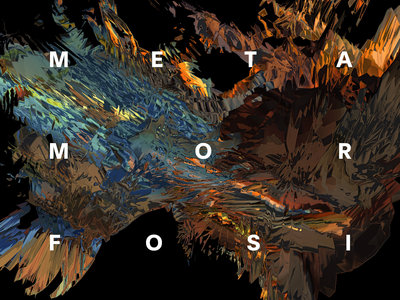 その他 JOSEPH CAPRIATI MORFOSI vinyl Merch | Joseph Capriati