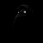 Grimhand thumbnail