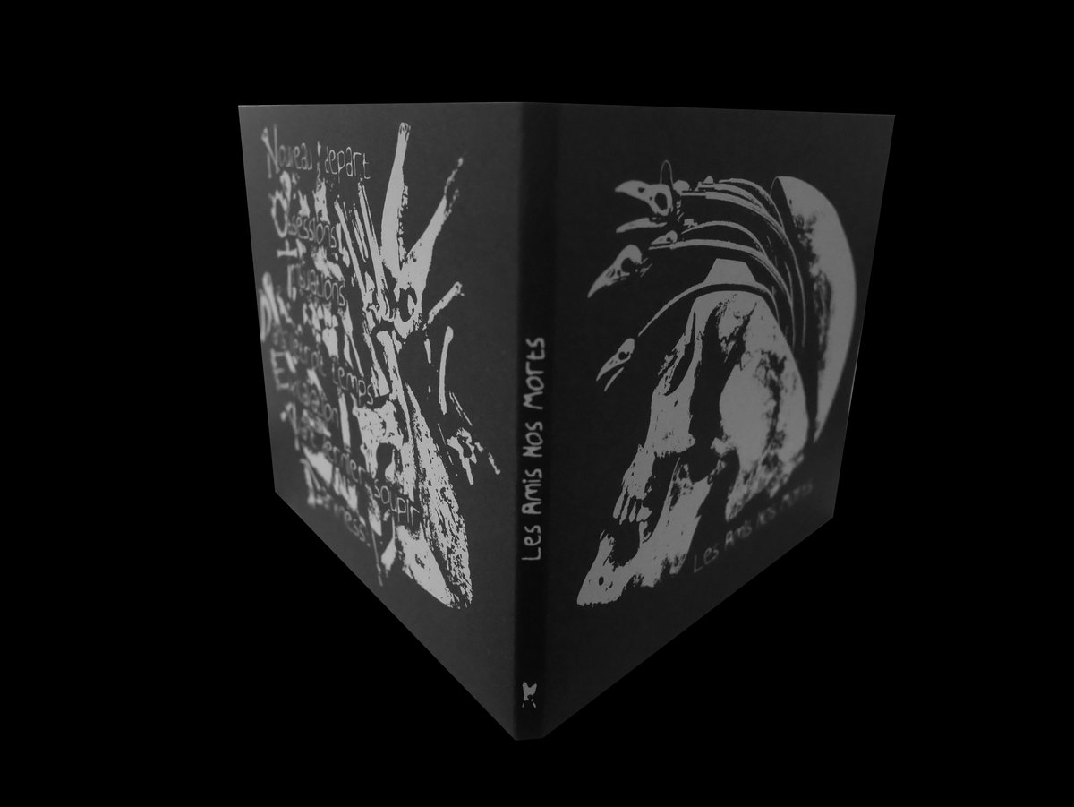 Amis des Maldives / croisière aux maldives / plongée sous-marine / pêche /  snorkling / iles / surf / Malé, Maldives, image size:1200x901