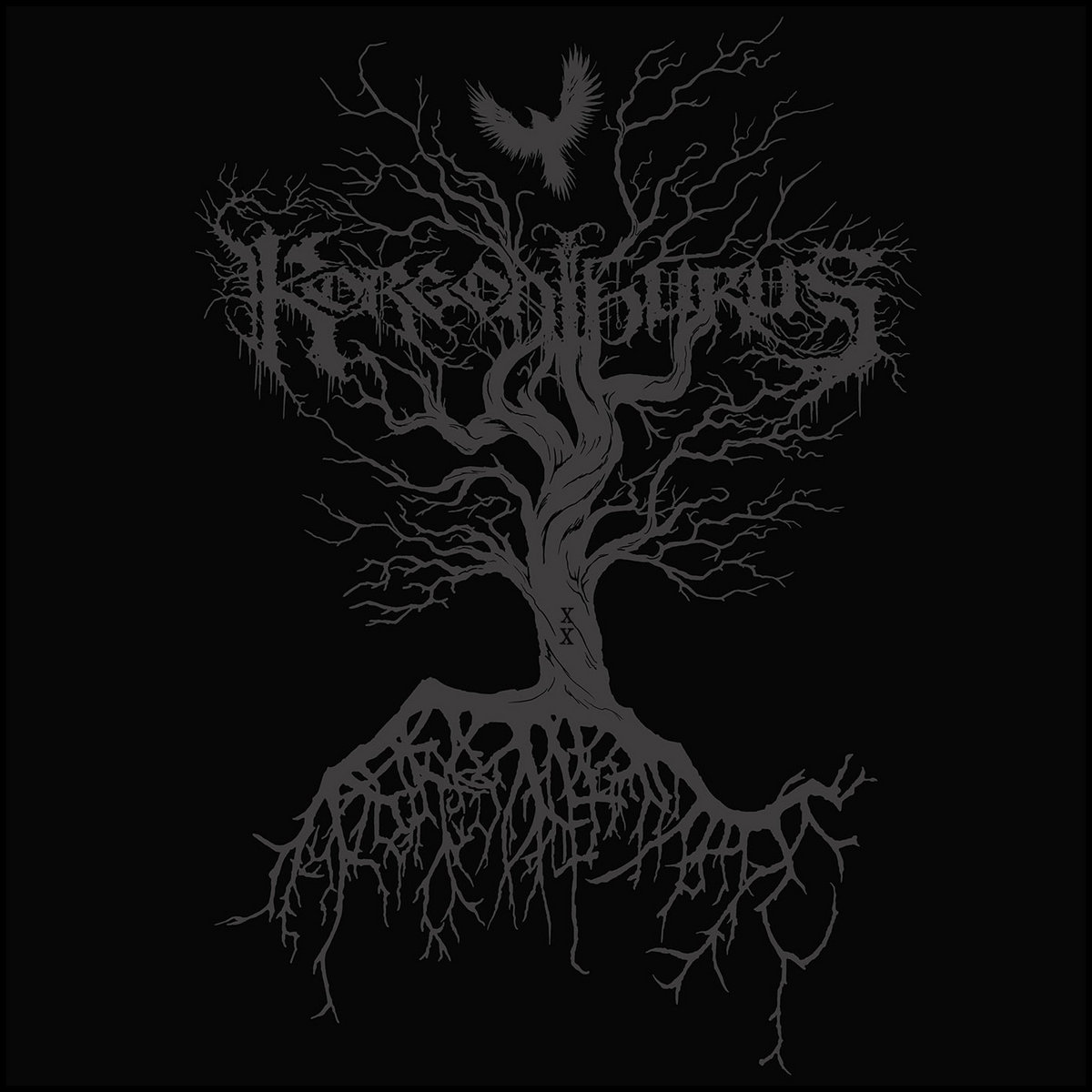 洋楽 ROOTS & CULTURE - VARIOUS ARTISTS Amazon MusicでVARIOUS ARTISTSのRoots & Culture Vol.1を再生する