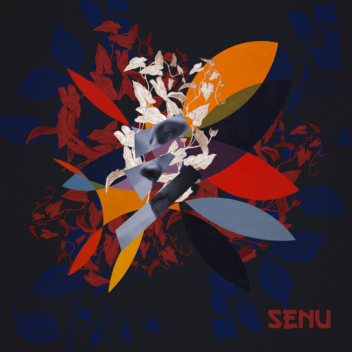SENU cover