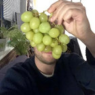 Felix Felix thumbnail