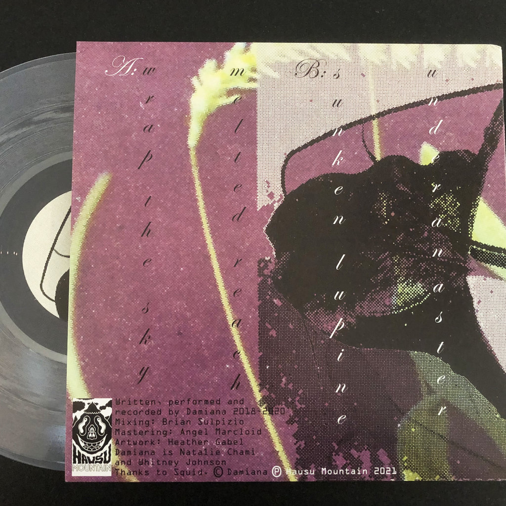 Damiana, “Vines” Bandcamp Daily