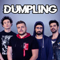 Dumpling image