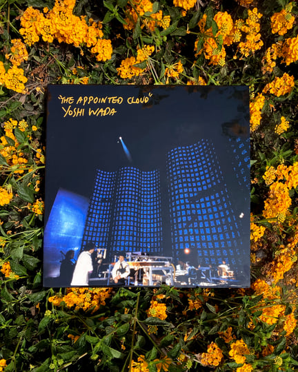 The Appointed Cloud | Yoshi Wada