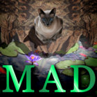 Roland thumbnail