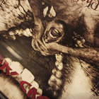 radebeulsraise thumbnail