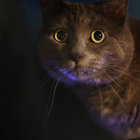 myrbn thumbnail