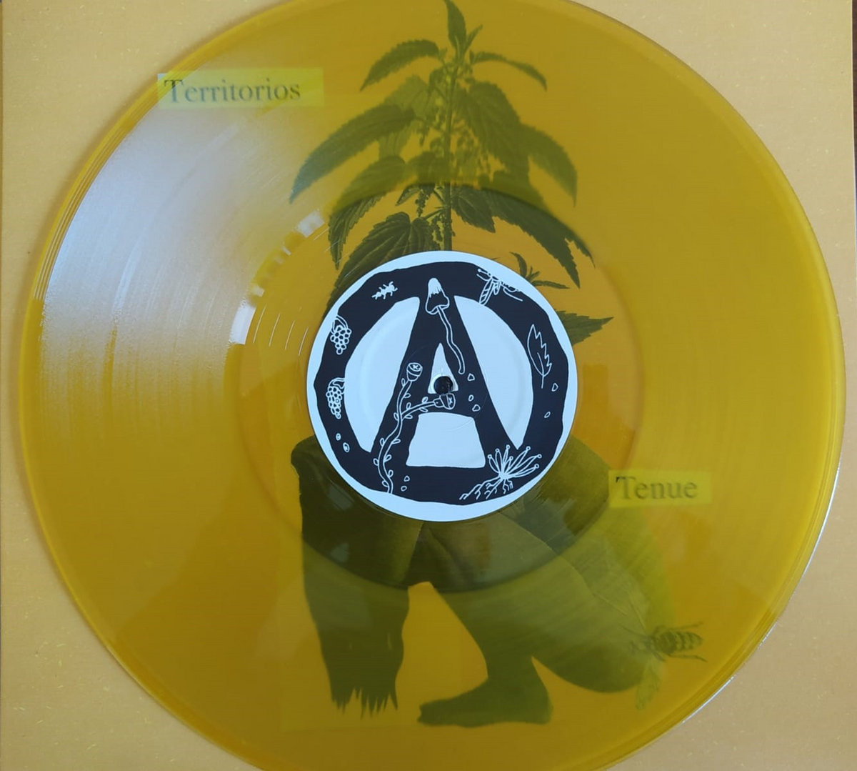 Territorios Tenue 3la Longlegslongarms Records