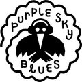 Purple Sky Blues Recordings image