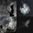 kohdiphoto thumbnail