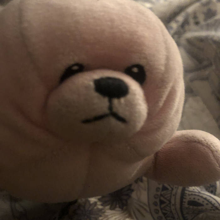 pink seal cover