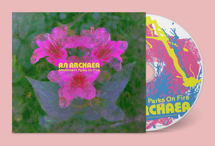 An Archaea | Amusement Parks On Fire