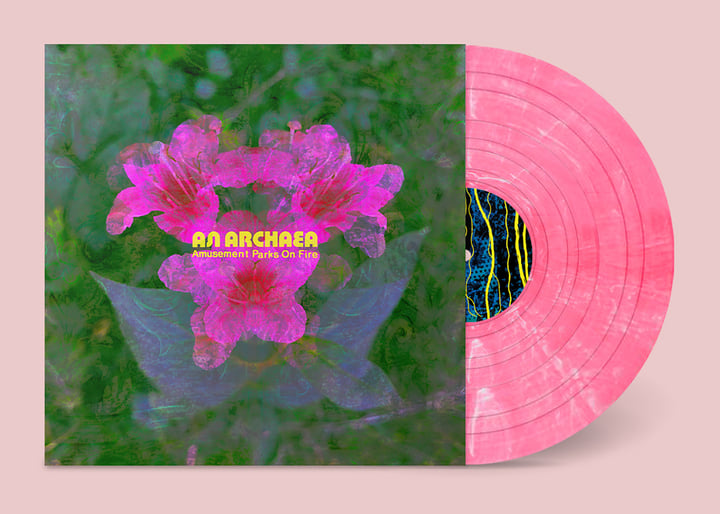 An Archaea | Amusement Parks On Fire