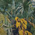 Palm Blossom thumbnail