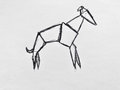 lurcher. image