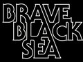 Brave Black Sea image