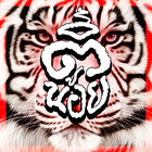 TEE thumbnail