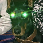 timoo thumbnail