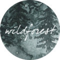 wildforest image