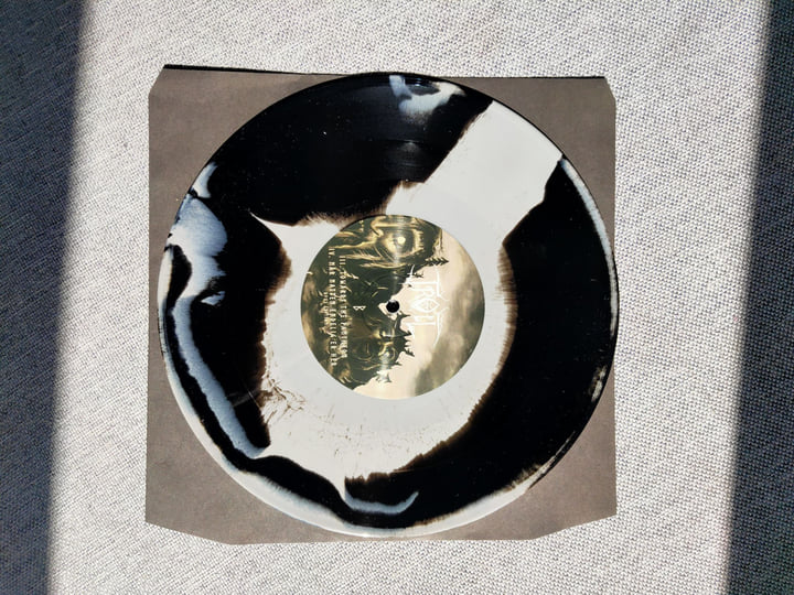 Tilbake til Trollberg | Troll | Polypus Records
