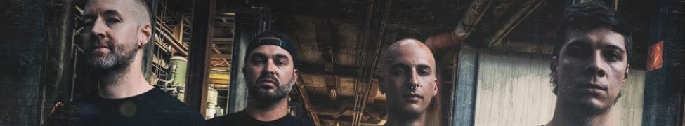 LANiiDAE — Photo