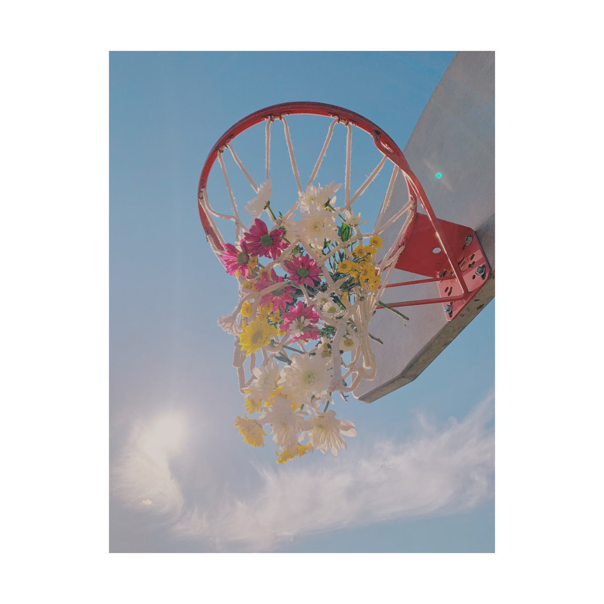 Weight of the World | Boxing Tree