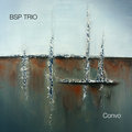 BSP Trio image