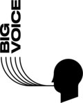 Big Voice Recordings image
