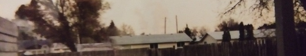S. Rabbit — Photo · other