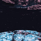 frogs_oblivious thumbnail