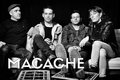 Macache ! image