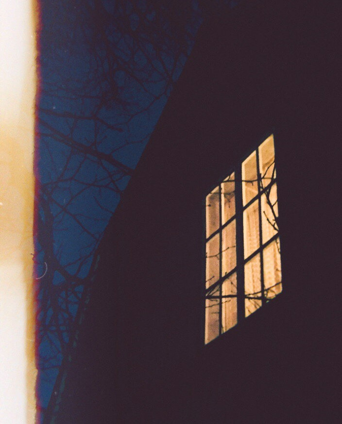 The paper kites - woodland image