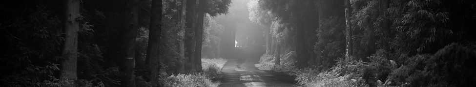 Tranquility — Photo