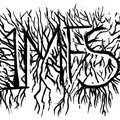 1MFS image