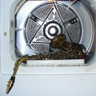 pizza with bees  thumbnail