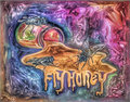 Fly Honey image